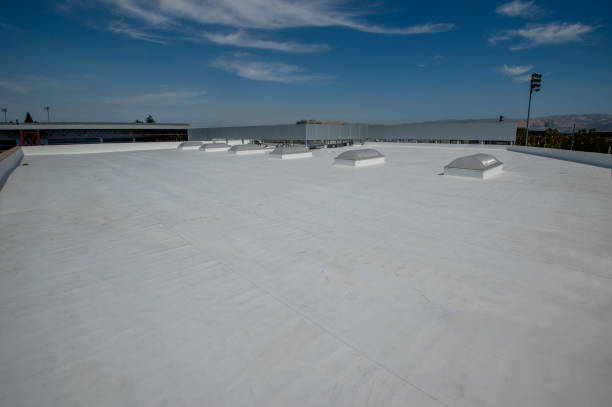 Best Gutter Installation and Repair  in Harlem Heights, FL