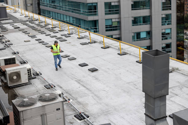 Best Roof Installation  in Harlem Heights, FL