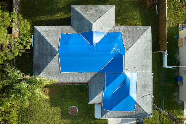 Best Skylight Installation and Repair  in Harlem Heights, FL