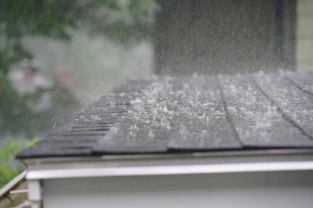 Best 4 Ply Roofing  in Harlem Heights, FL