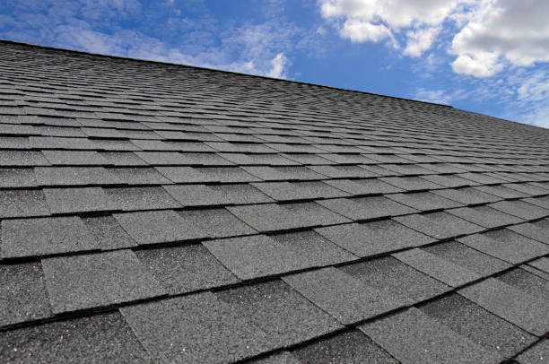 Best Green or Eco-Friendly Roofing Solutions  in Harlem Heights, FL